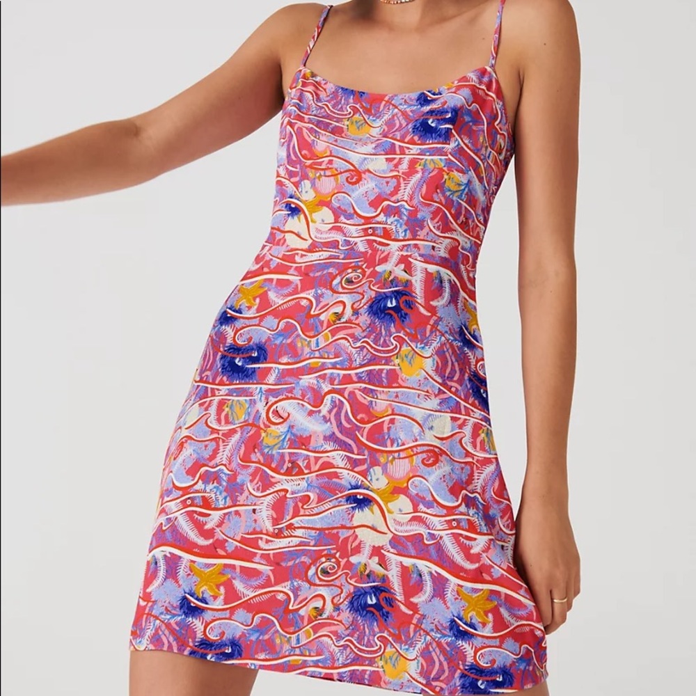 Aritzia Sunday Best Jackson Dress